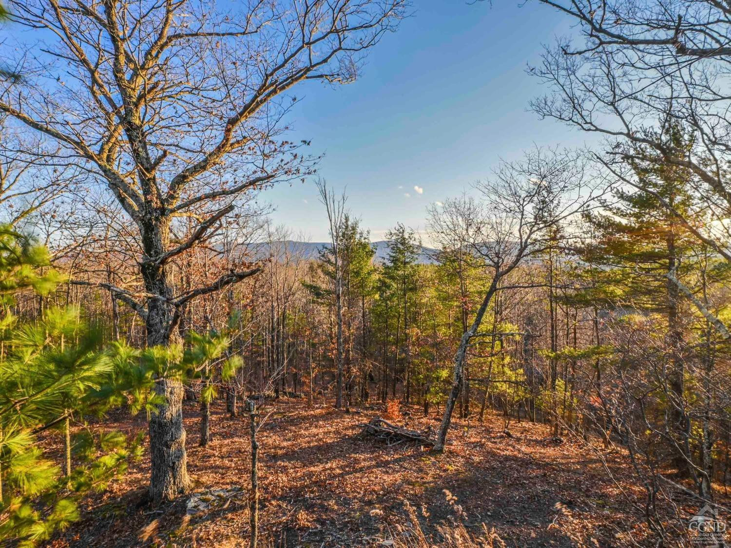 Jewett, New York, 12444, United States, 3 Bedrooms Bedrooms, ,2 BathroomsBathrooms,Residential,For Sale,1927489