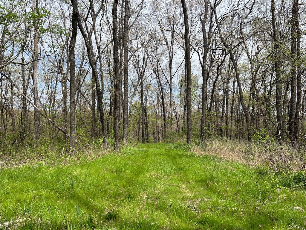 Garfield, Arkansas, 72732, United States, ,Land,For Sale,1804669