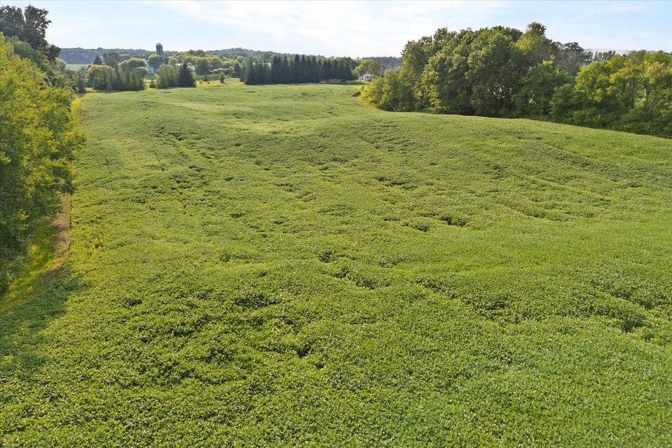 Rhine, Wisconsin, 53020, United States, ,Land,For Sale,1983397