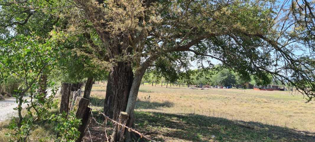 EJI SAN JUAN DE LOS GARZA, Cadereyta Jiménez, Nuevo León, 67459, Mexico, 1 Bedroom Bedrooms, ,Residential,For Sale,EJI SAN JUAN DE LOS GARZA,1440992