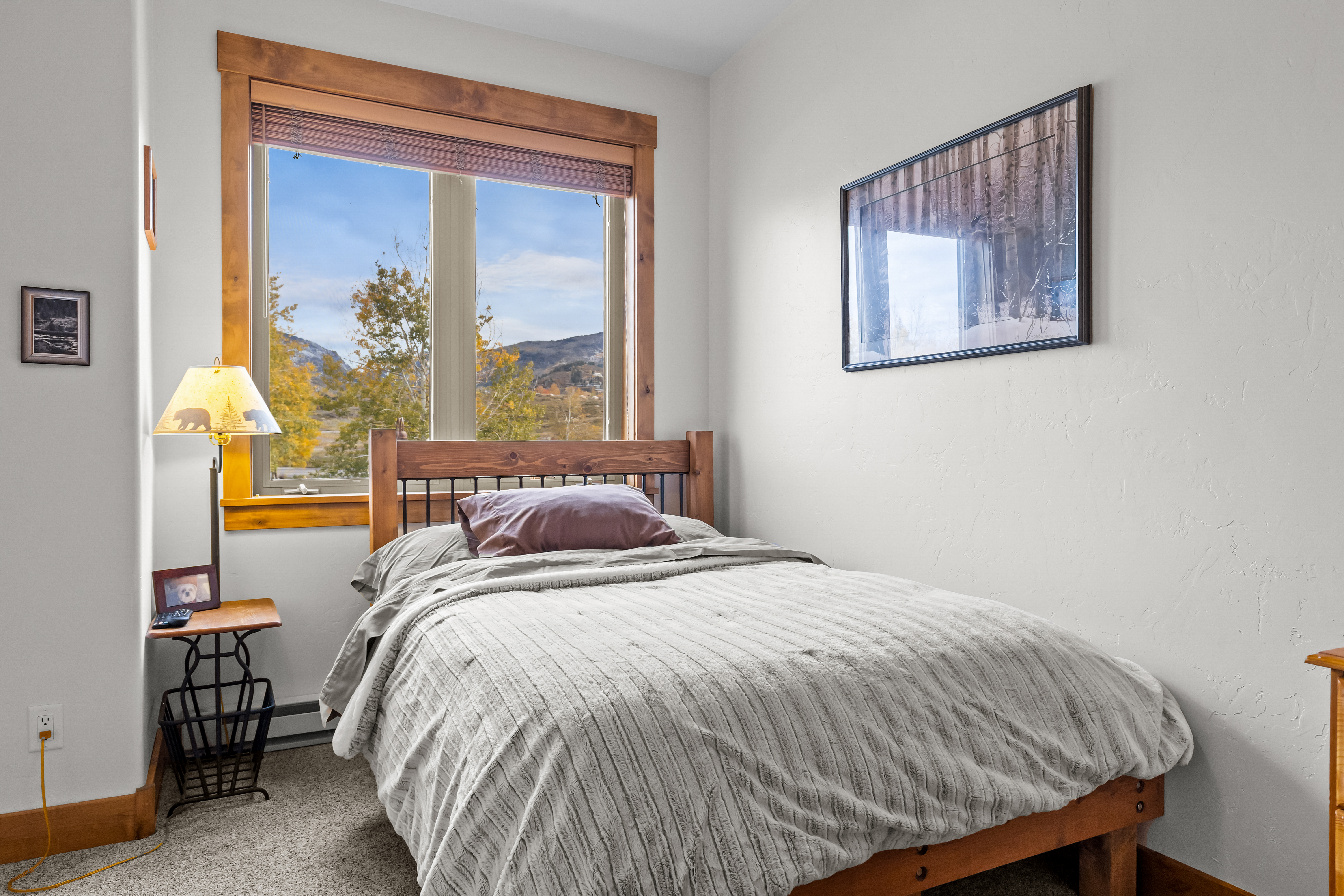  1915 Alpine Plaza, Steamboat Springs, CO, 80487 - 物件實景