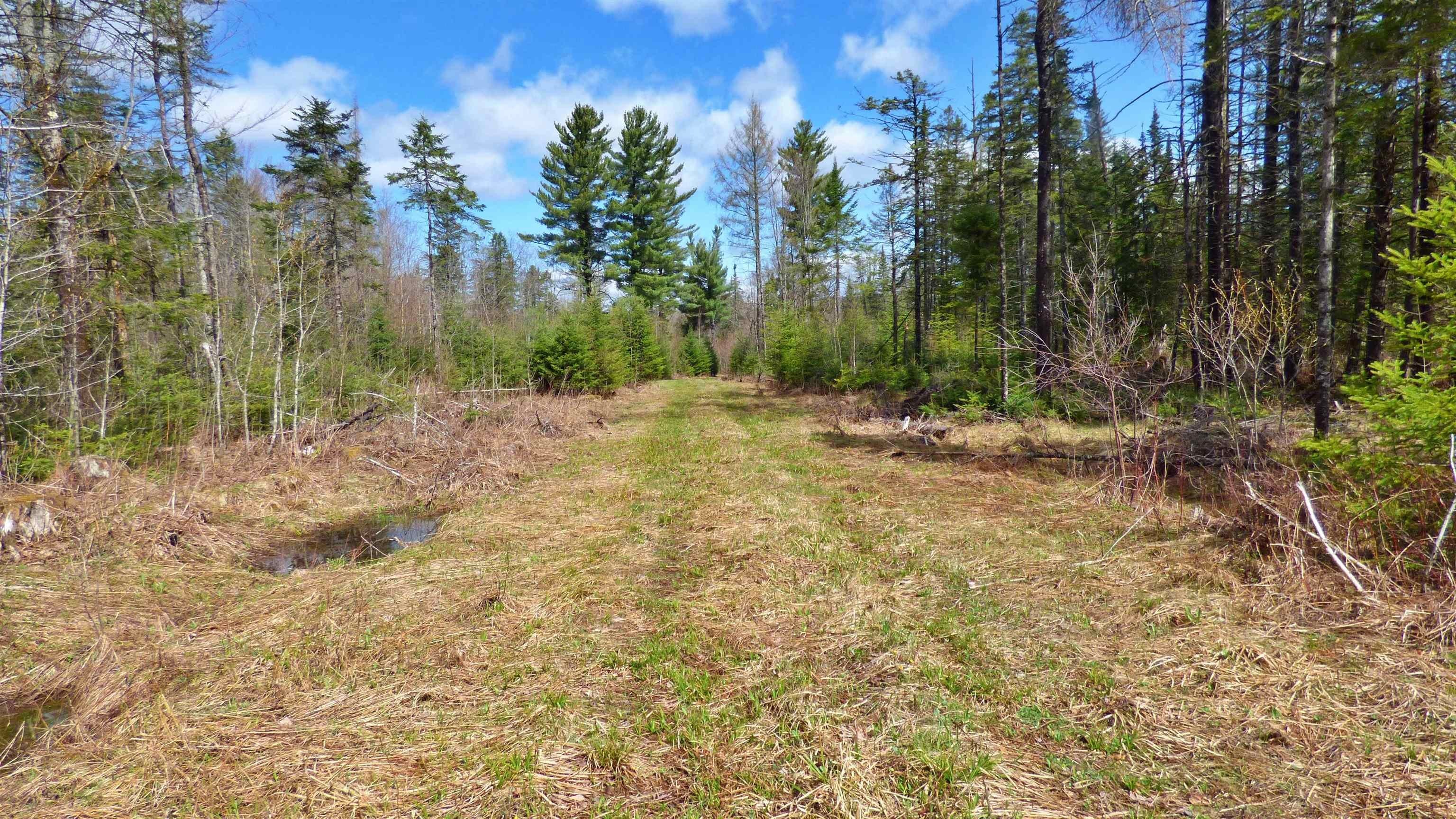 Wheelock, Vermont, 05851, United States, ,Land,For Sale,2017669