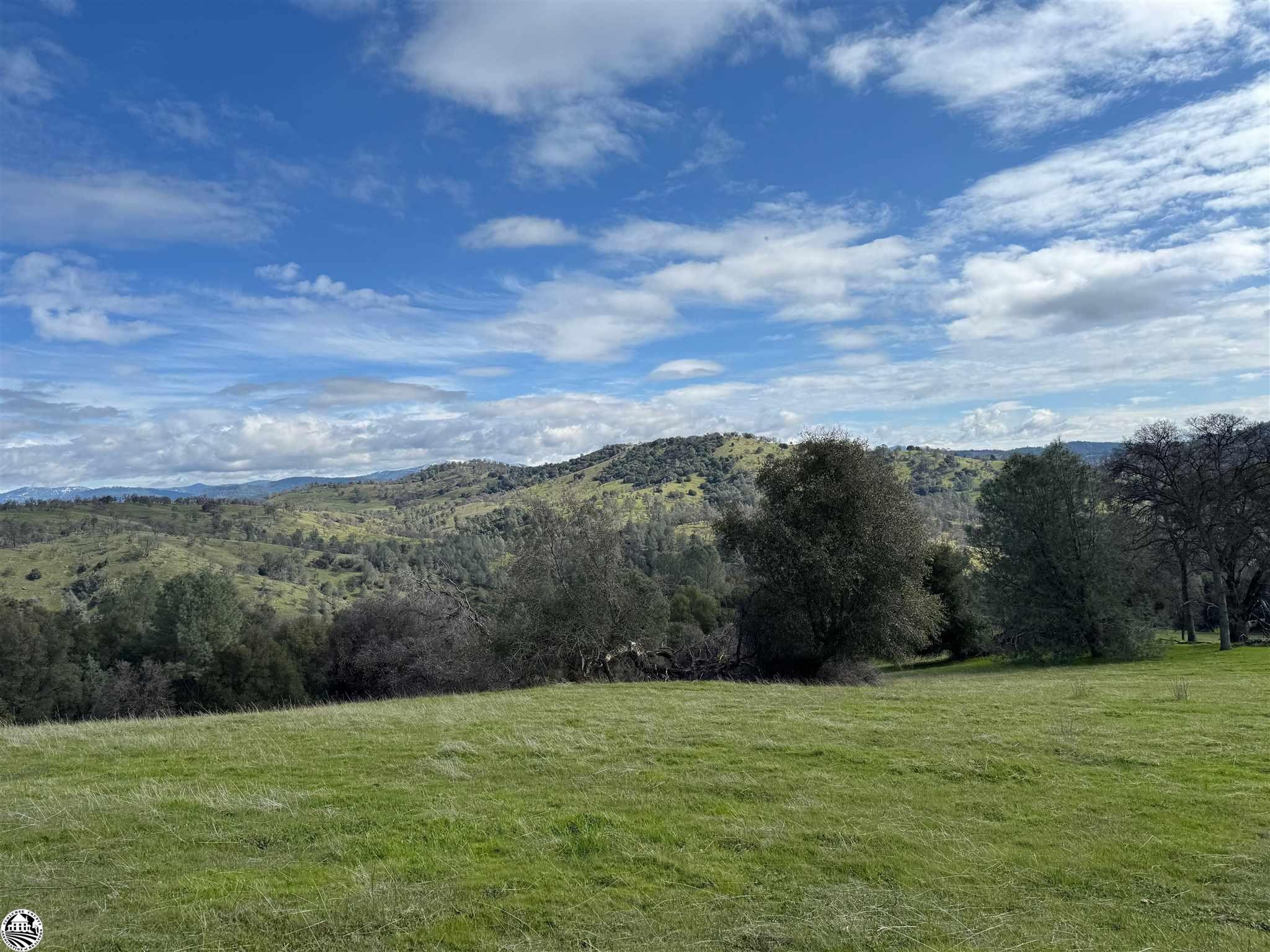 16551 Wards Ferry, Big Oak Flat, California, 95305, United States, 2 Bedrooms Bedrooms, ,2 BathroomsBathrooms,Residential,For Sale,16551 Wards Ferry,1619355