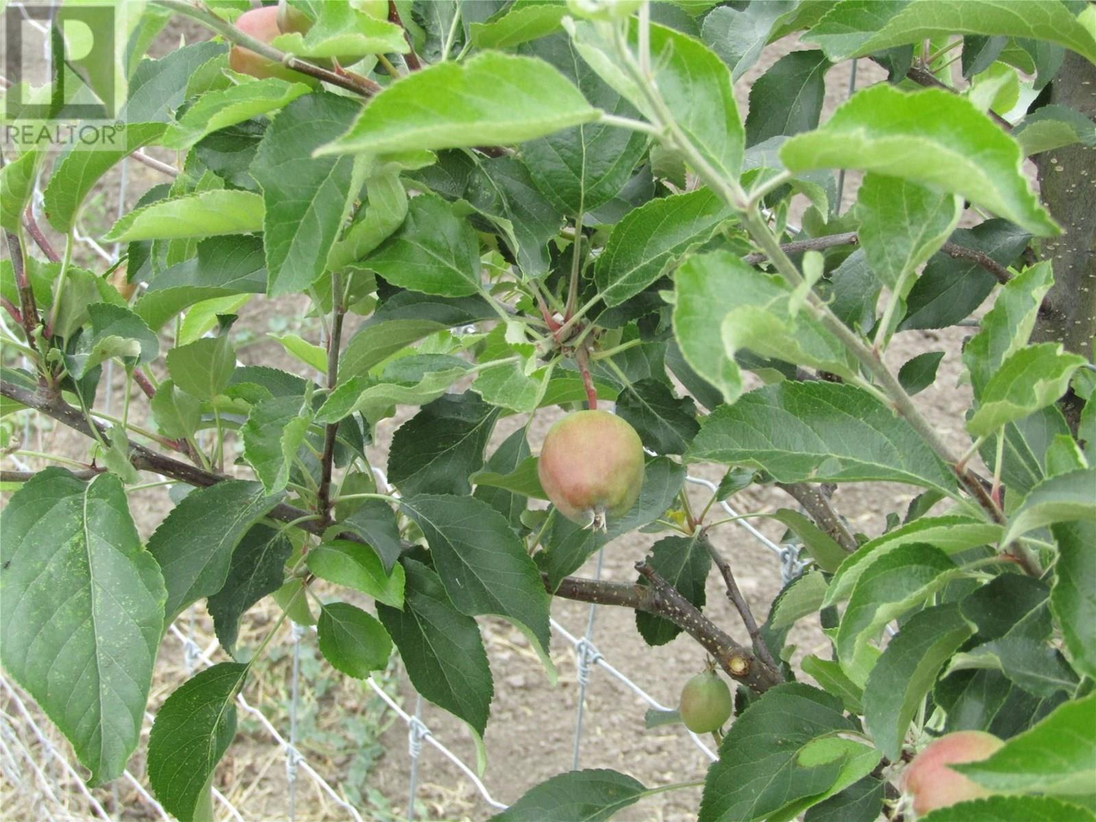 GRAND FORKS, British Columbia, V0H 1H5, CA, 6 Bedrooms Bedrooms, ,3 BathroomsBathrooms,Residential,For Sale,1947693