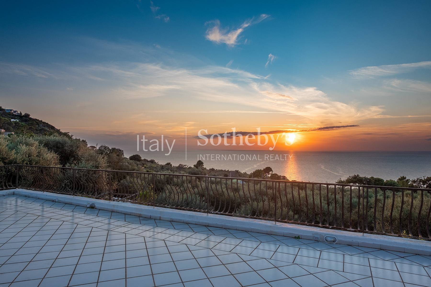  Charming villa with olive grove and swimming pool overlooking the sea - 物件實景