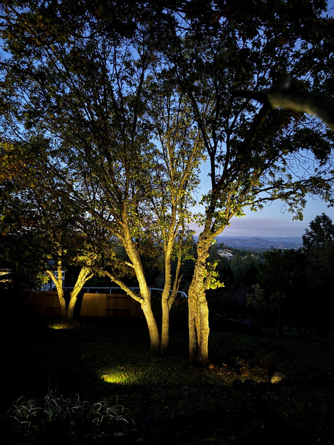 Shingle Springs, California, 95682, United States, 3 Bedrooms Bedrooms, ,2 BathroomsBathrooms,Residential,For Sale,1997348