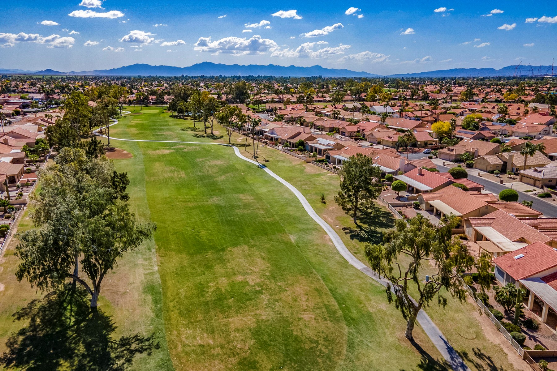  26202 S Flame Tree Drive  Sun Lakes, AZ - 物件實景
