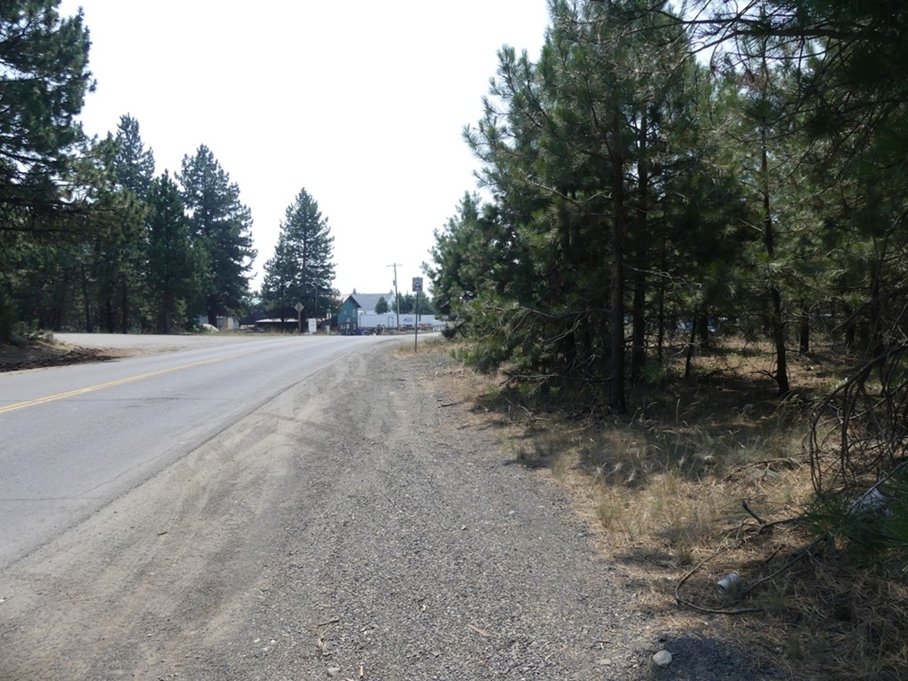 McCall, Idaho, 83638, United States, ,Land,For Sale,2005964