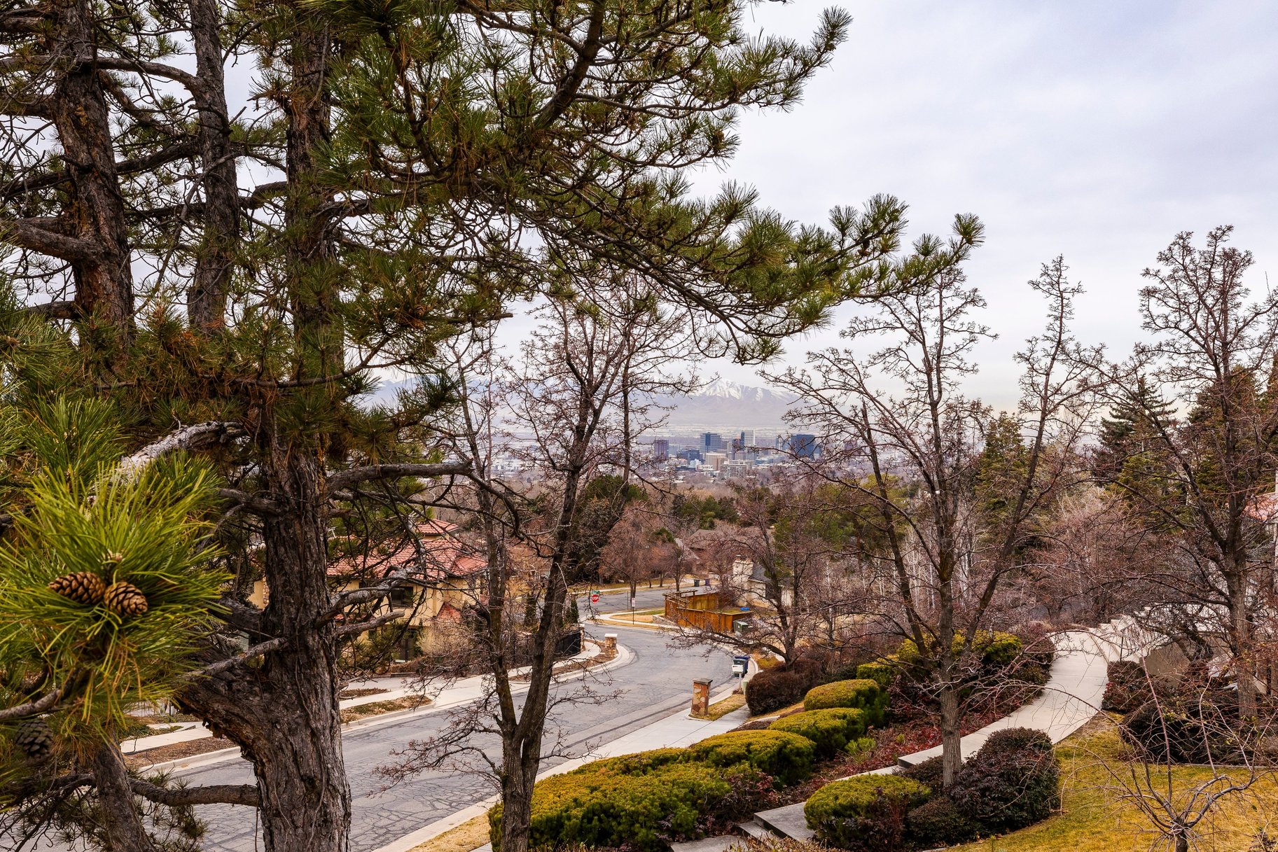  FEDERAL HEIGHTS CIRCLE SOUTHERN COLONIAL - 0.72 ACRE, AMAZING VIEWS - 物件實景