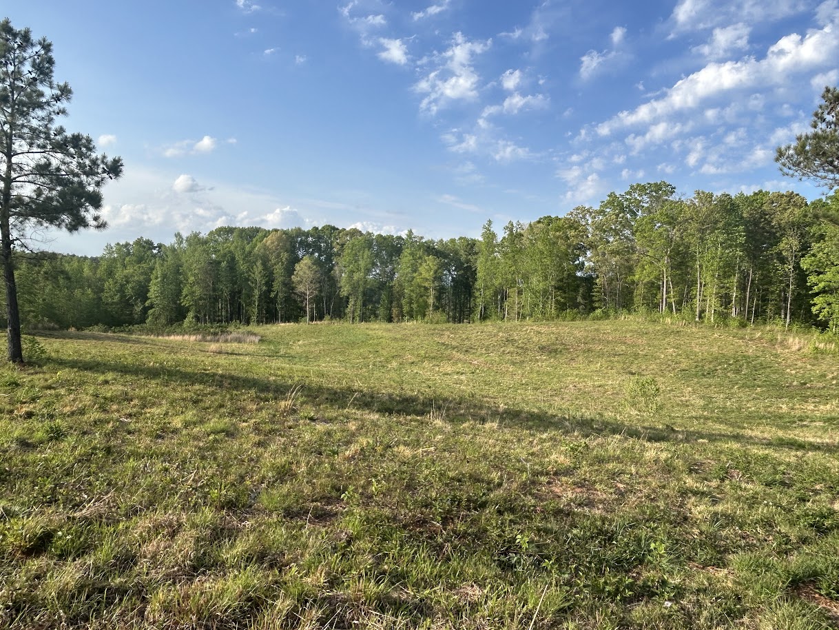 Roopville, Georgia, 30170, United States, ,Residential,For Sale,1780793