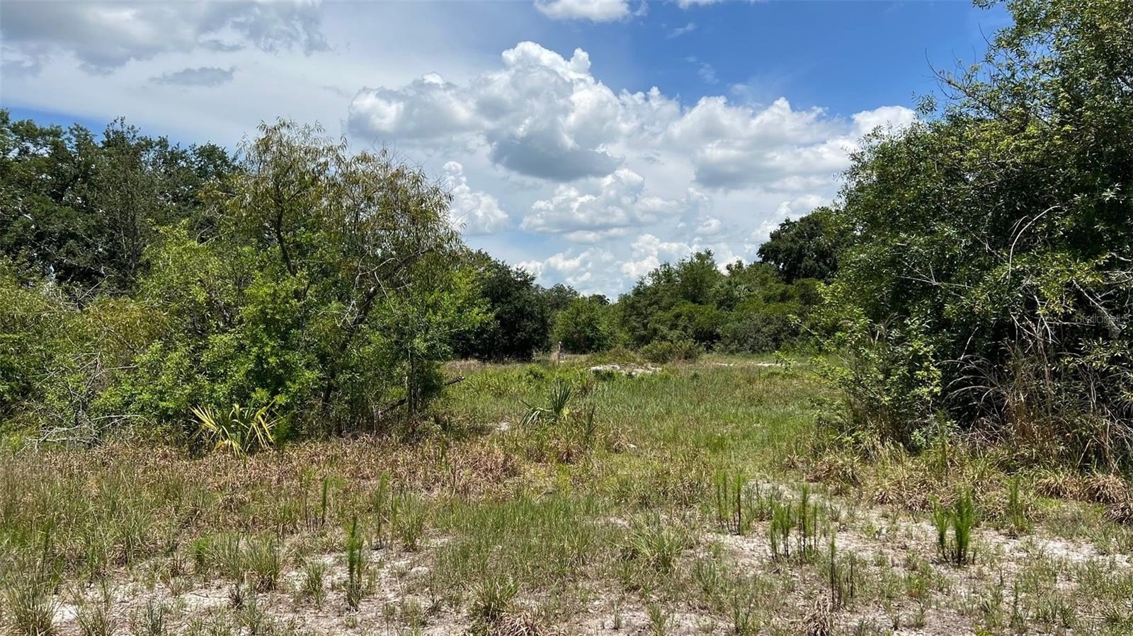 AUBURNDALE, Florida, 33823, United States, ,Land,For Sale,1977523