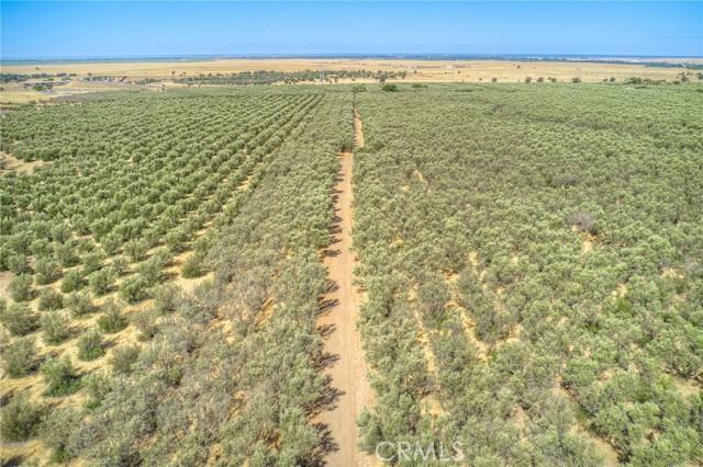 Oroville, California, 95965, United States, ,Land,For Sale,1981865