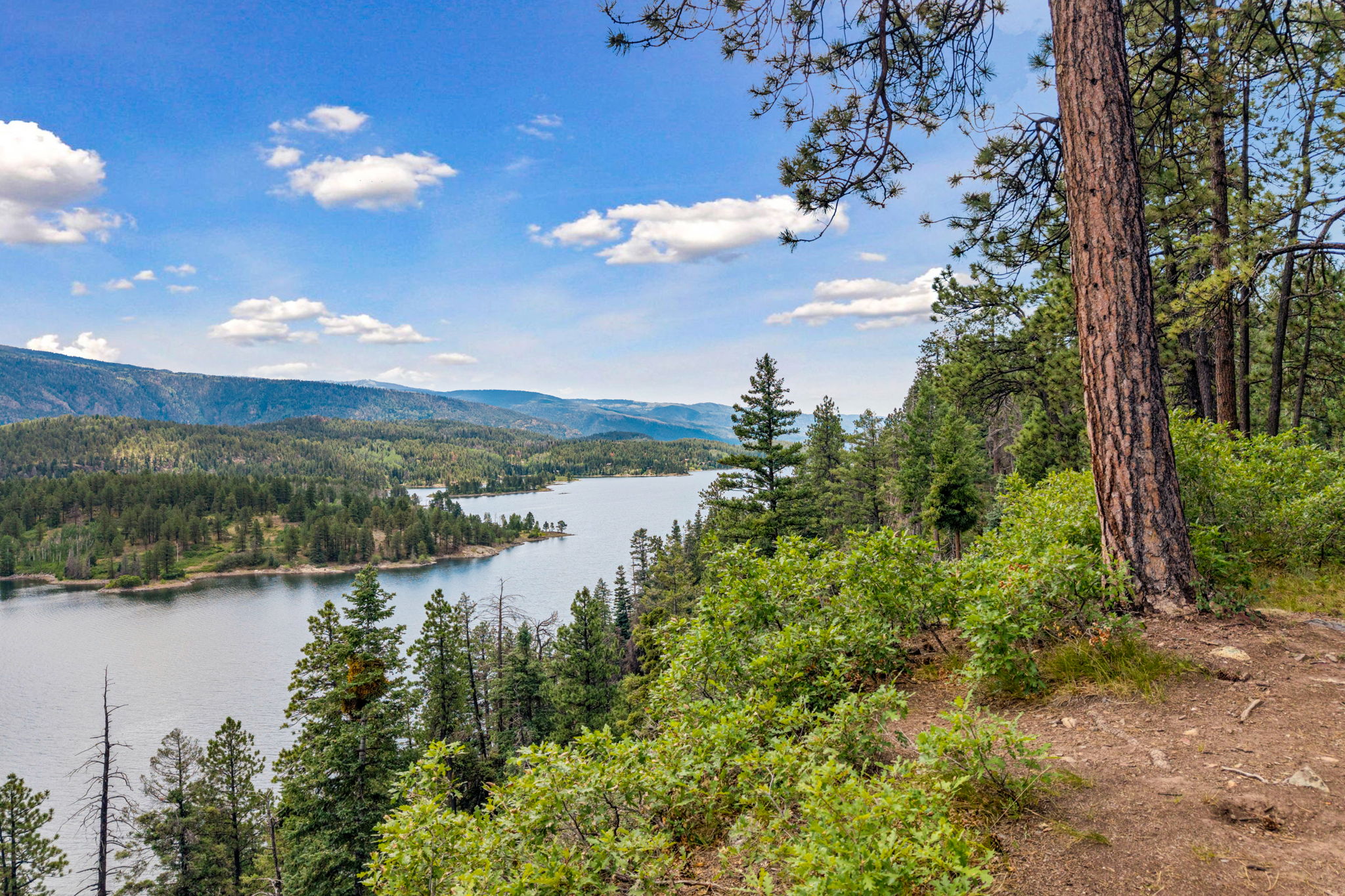  TBD East Spruce Mesa Drive, Durango, CO 81301 - 物件實景