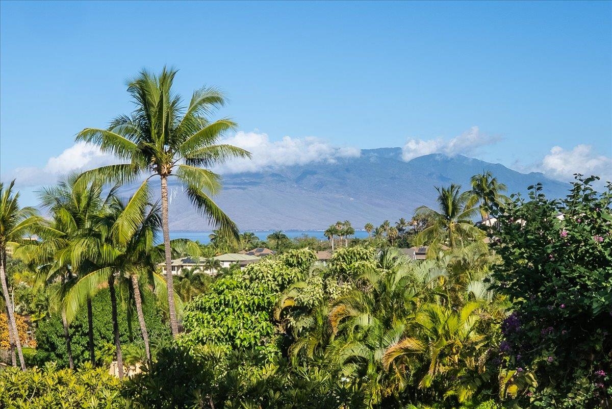 Wailea Alanui Dr, Kihei, HI 96753 #1