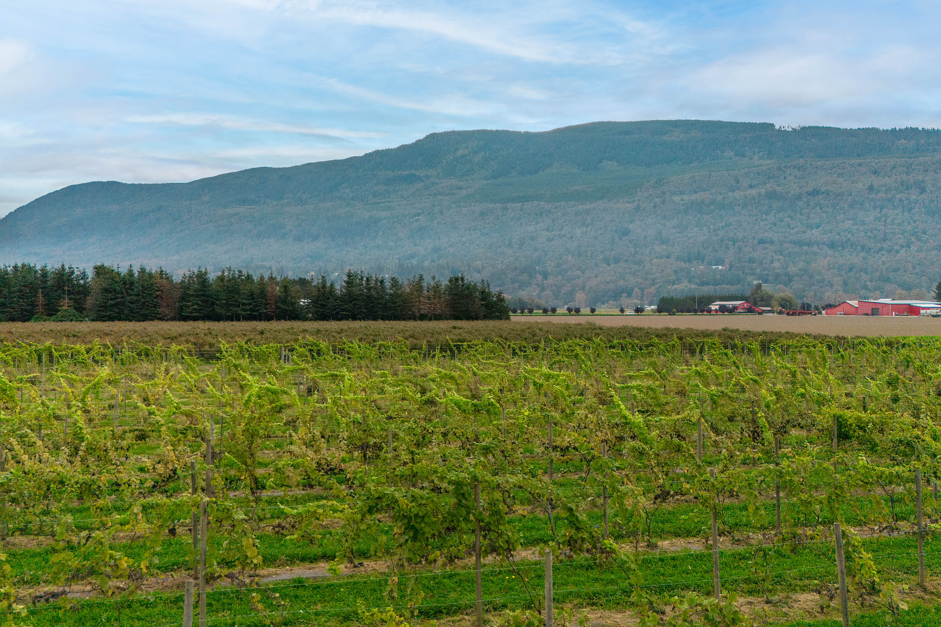  Event Venue/Winery/Distillery - 物件實景