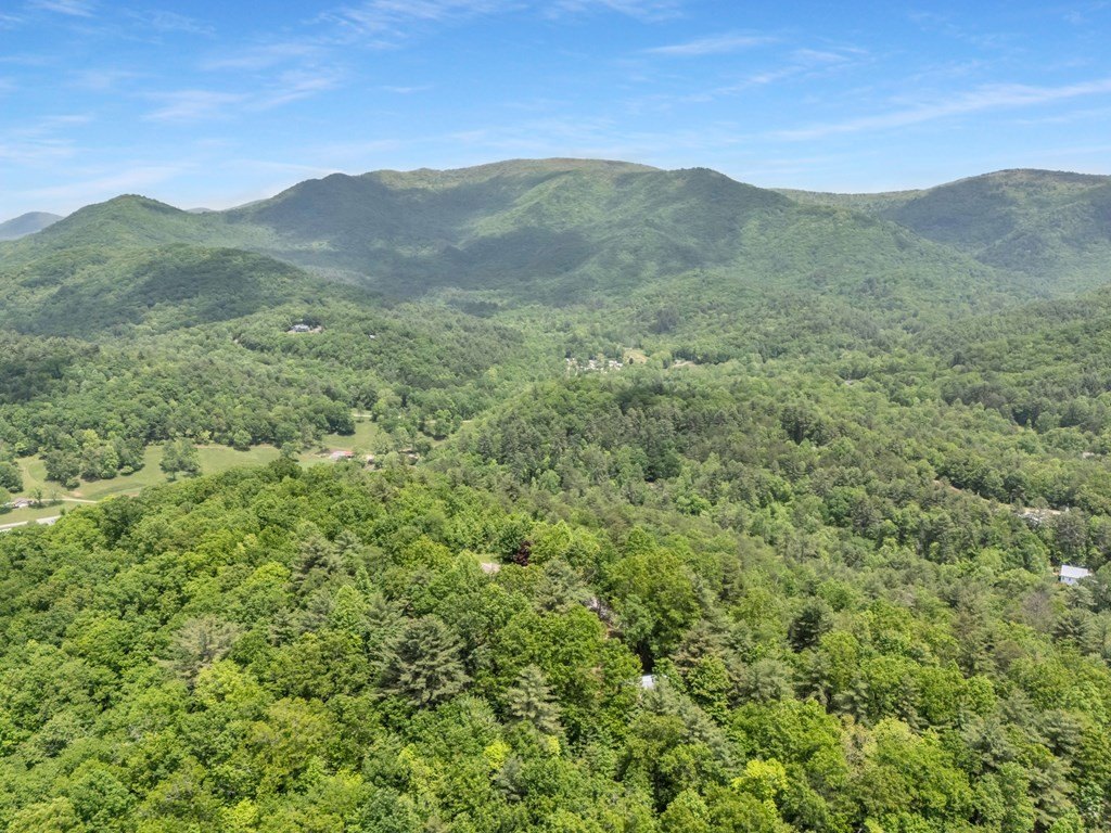 Blairsville, Georgia, 30512, United States, ,Residential,For Sale,1824066