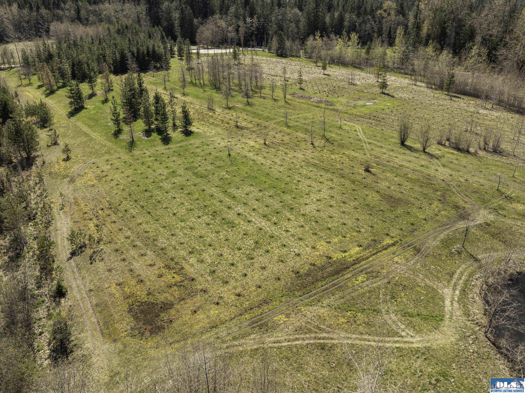 Sequim, Washington, 98382, United States, ,Land,For Sale,1787569