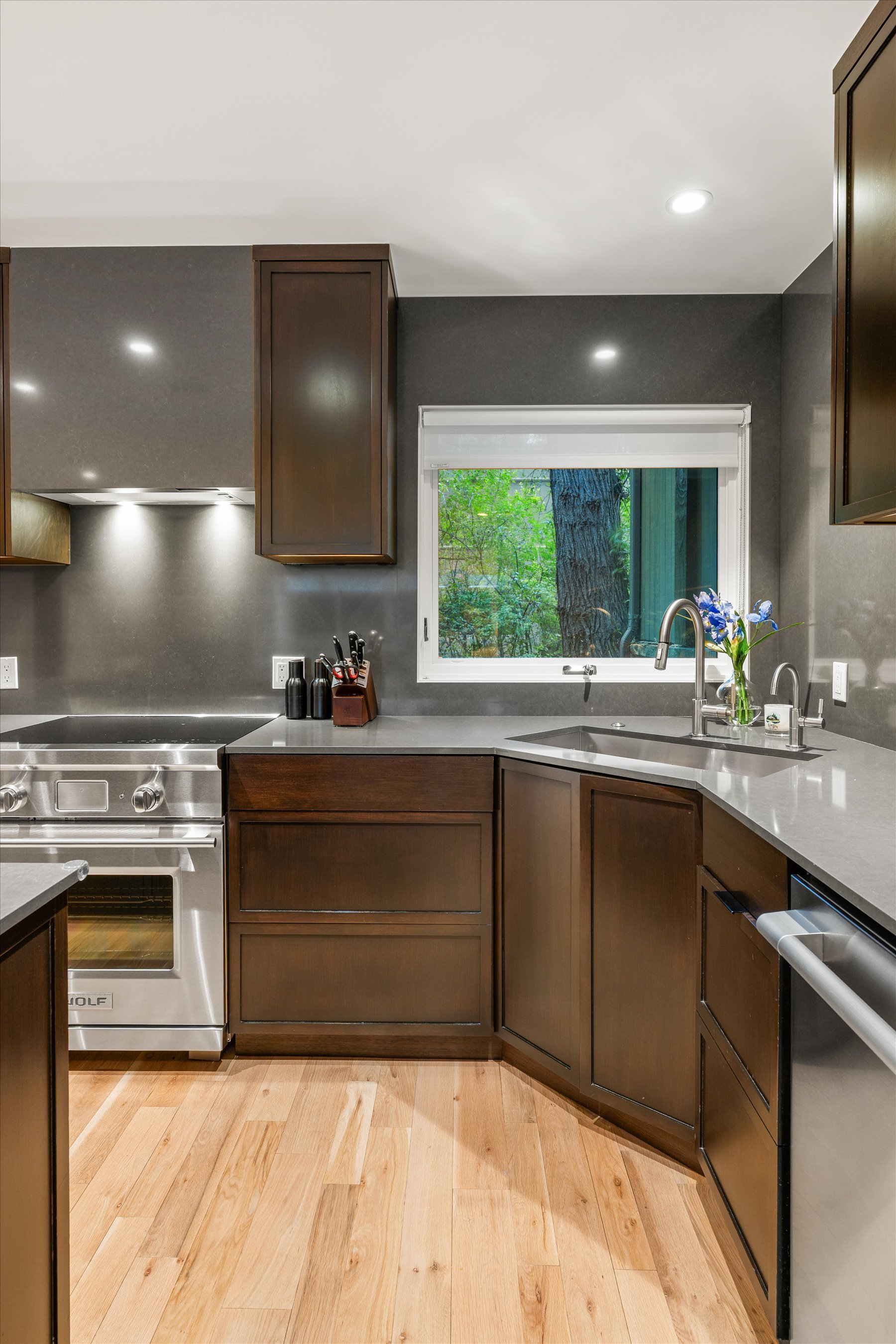  100 North 8th Street, Aspen, CO 81611 - 物件實景