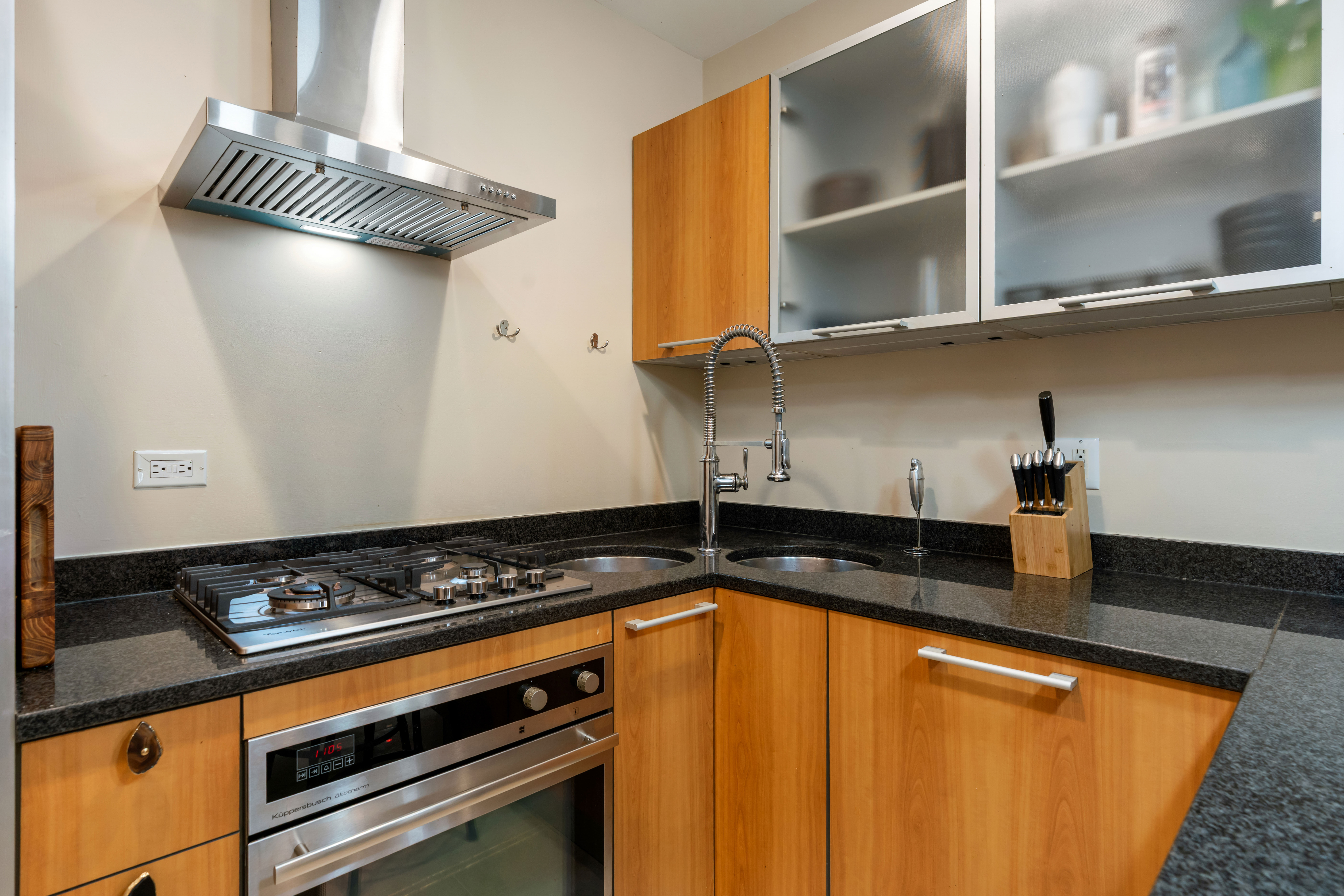 South-facing 2-bedroom, 1-bath Condo in West Bucktown/Logan Square - 物件實景