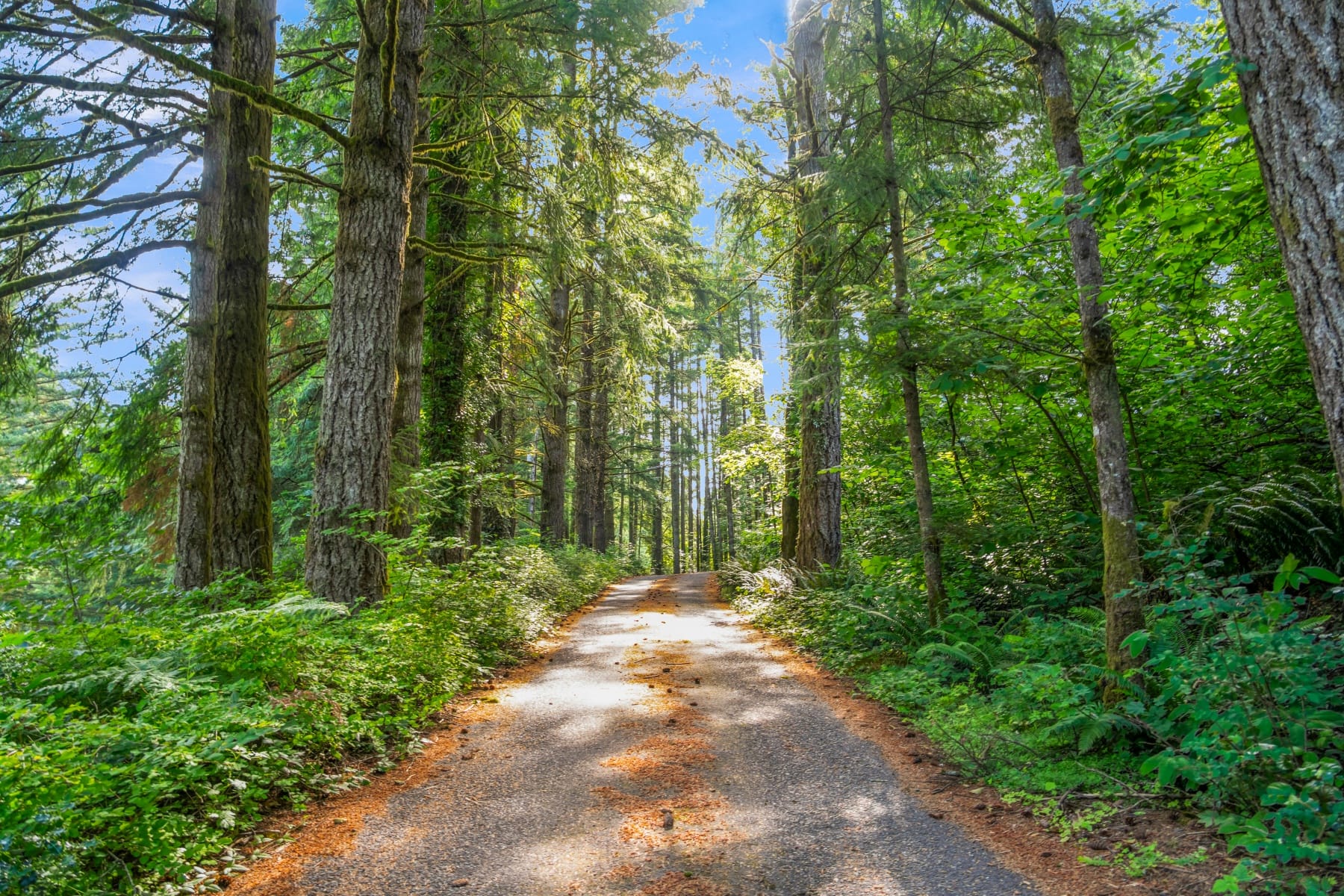  3832 NE CAVITT RD Camas, WA 98607 - 物件實景