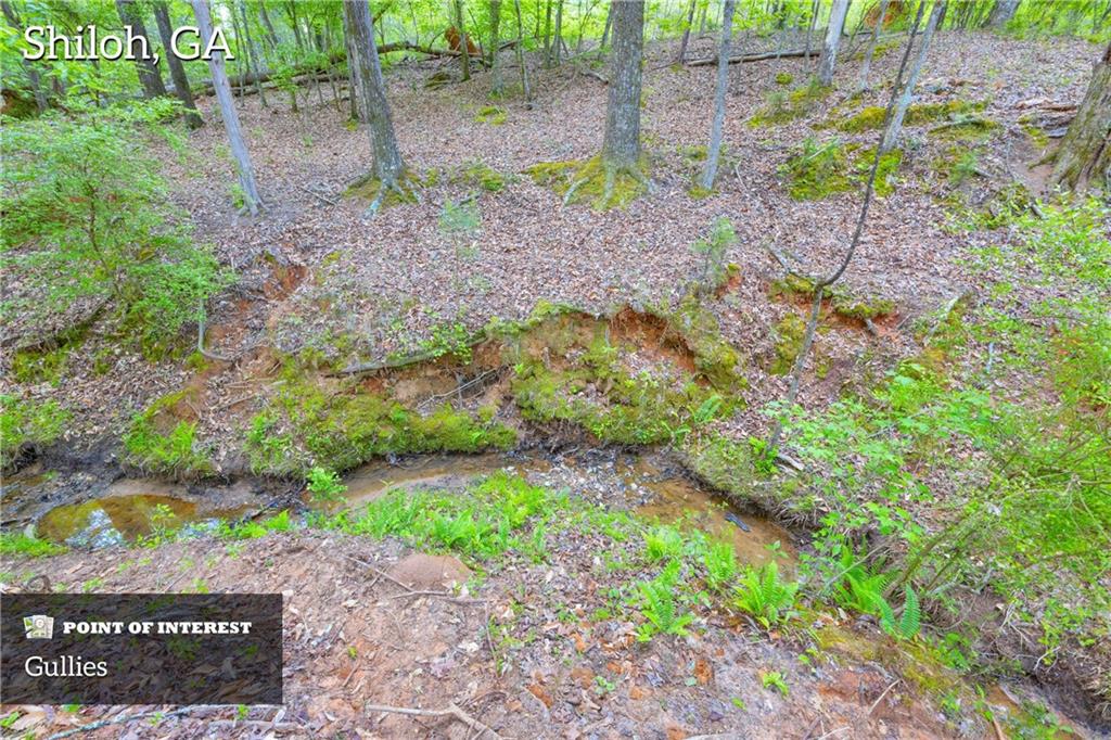 Shiloh, Georgia, 31826, United States, 3 Bedrooms Bedrooms, ,1 BathroomBathrooms,Land,For Sale,1974369
