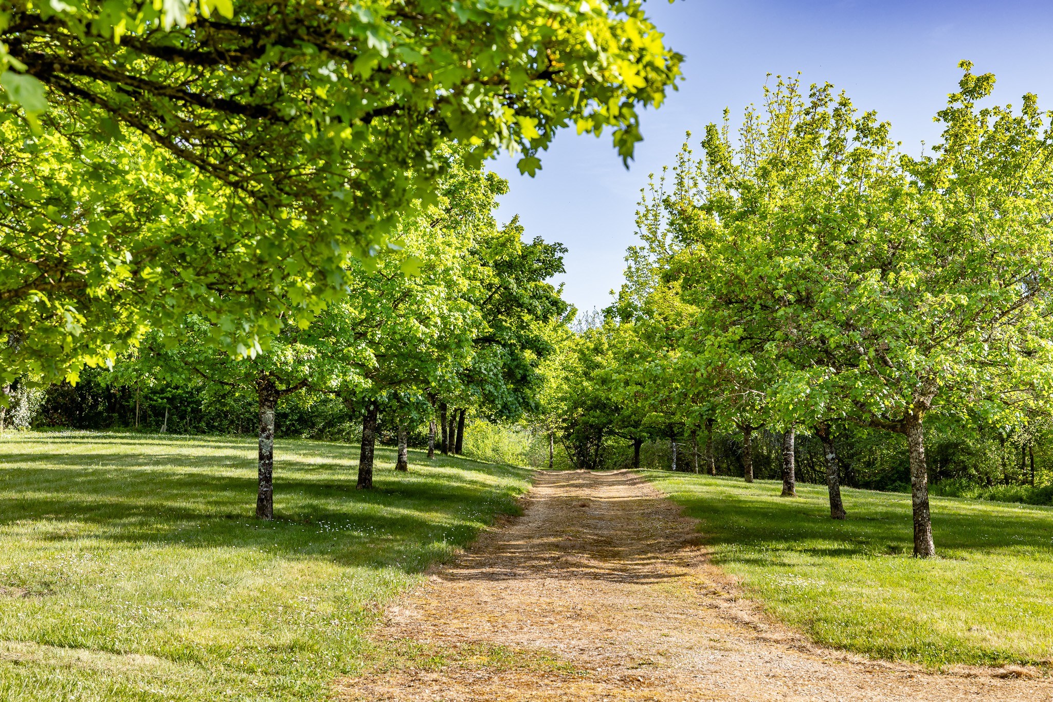  An Enchanted house on the Outskirts of Périgueux - 物件實景