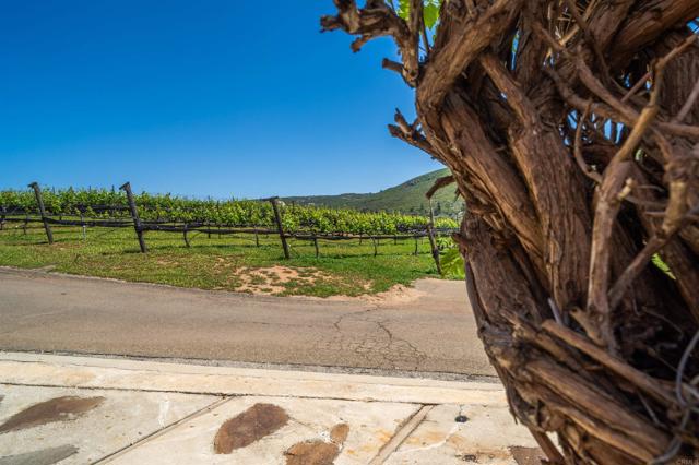 Ramona, California, 92065, United States, 3 Bedrooms Bedrooms, ,2 BathroomsBathrooms,Residential,For Sale,1999514