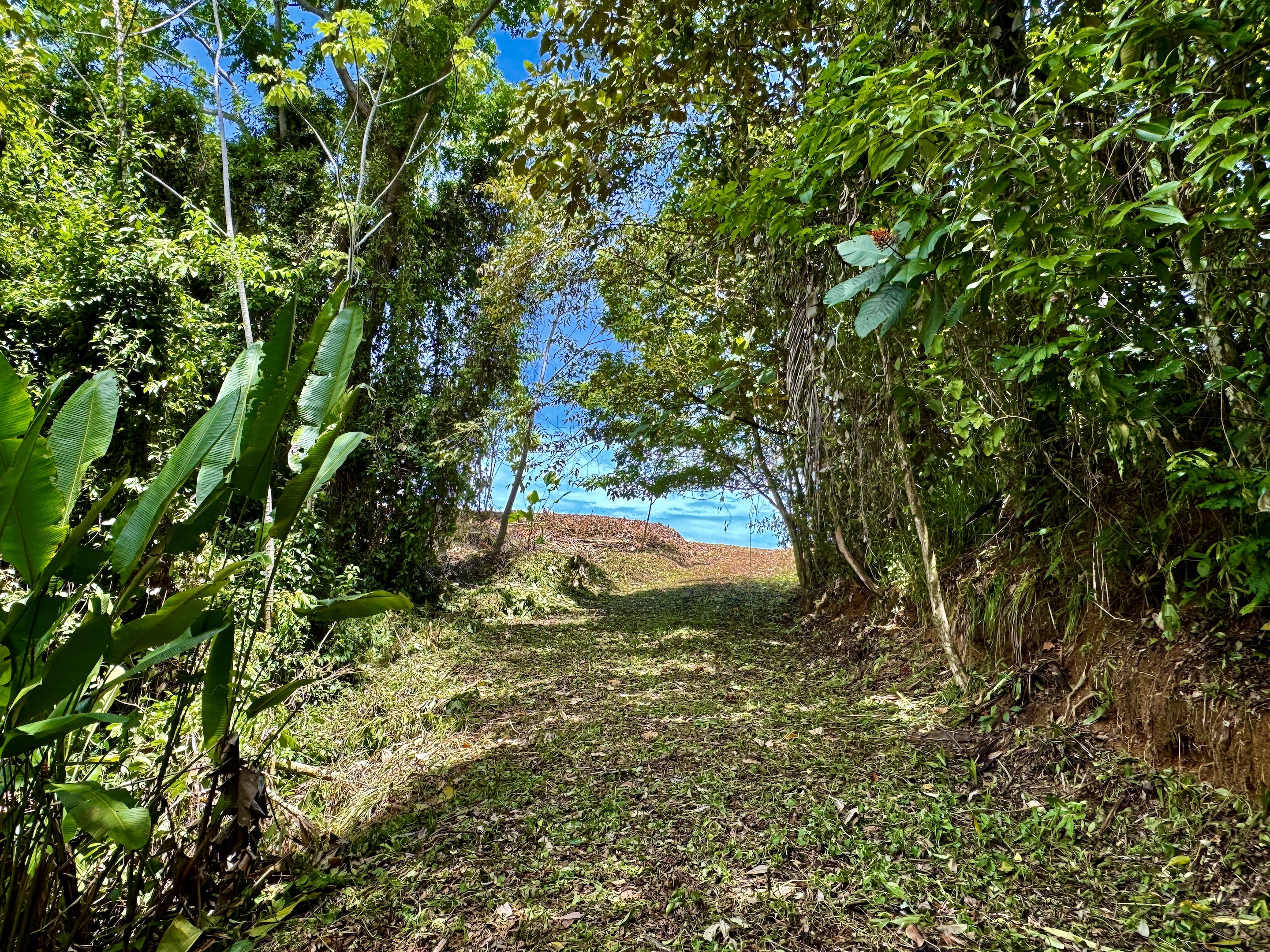 Dominicalito, Dominical, Puntarenas, CR, ,Land,For Sale,Dominicalito,1586705