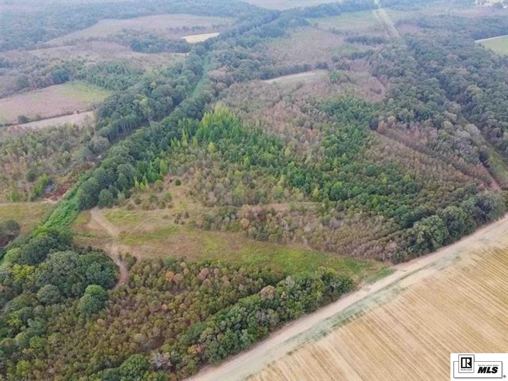 491 FORTENBERRY ROAD, Rayville, Louisiana, 71269, United States, ,Land,For Sale,491 FORTENBERRY ROAD,1683362