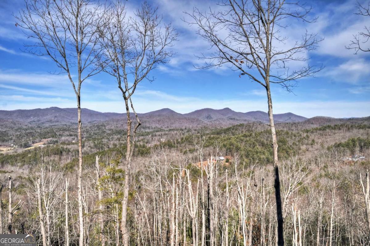 Mineral Bluff, Georgia, 30559, United States, 4 Bedrooms Bedrooms, ,4 BathroomsBathrooms,Residential,For Sale,2011407