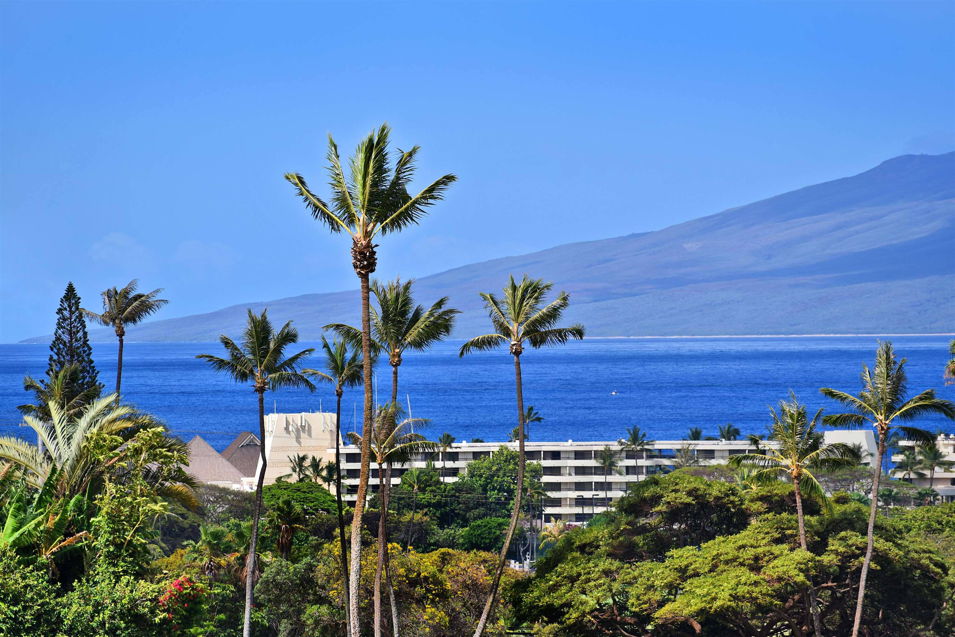Lahaina, Hawaii, 96761, United States, 2 Bedrooms Bedrooms, ,2 BathroomsBathrooms,Residential,For Sale,1795000