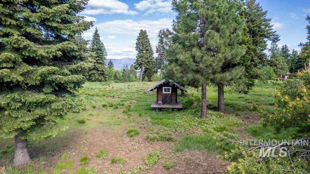McCall, Idaho, 83638, United States, ,Land,For Sale,1983589
