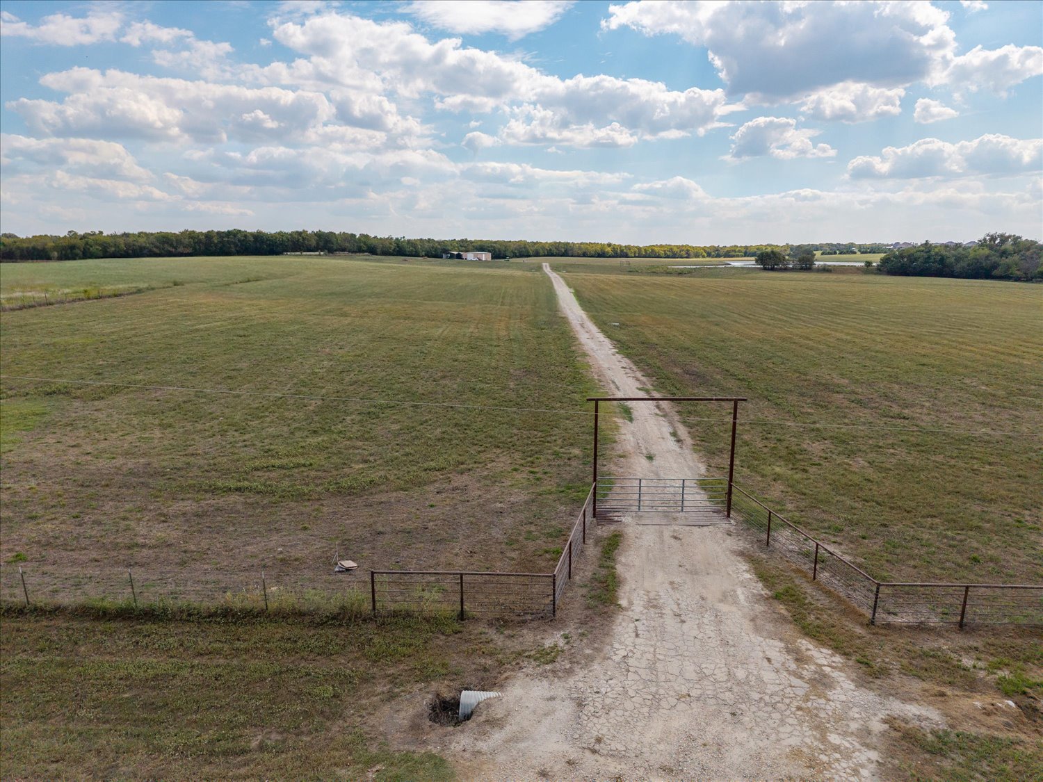 Celeste, Texas, 75423, United States, ,Land,For Sale,1983780