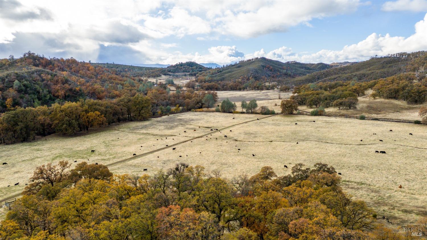 Lower Lake, California, 95457, United States, ,Land,For Sale,1976716