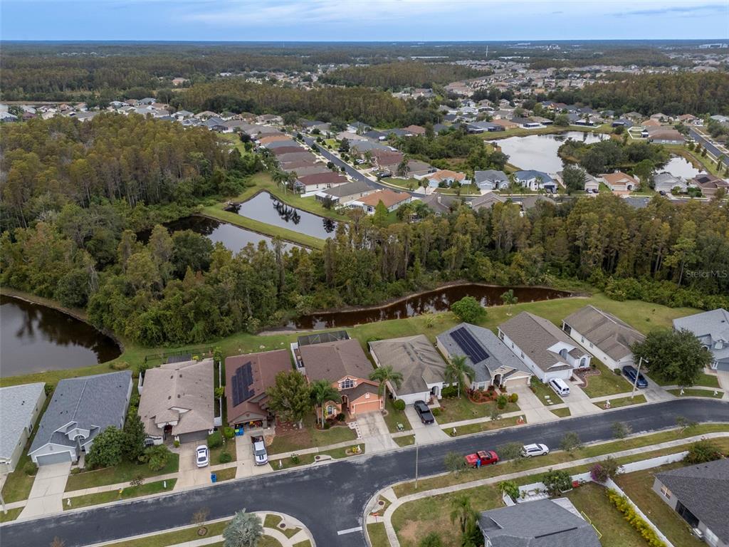 Wesley Chapel, Florida, 33543, United States, 4 Bedrooms Bedrooms, ,2 BathroomsBathrooms,Residential,For Sale,1991186