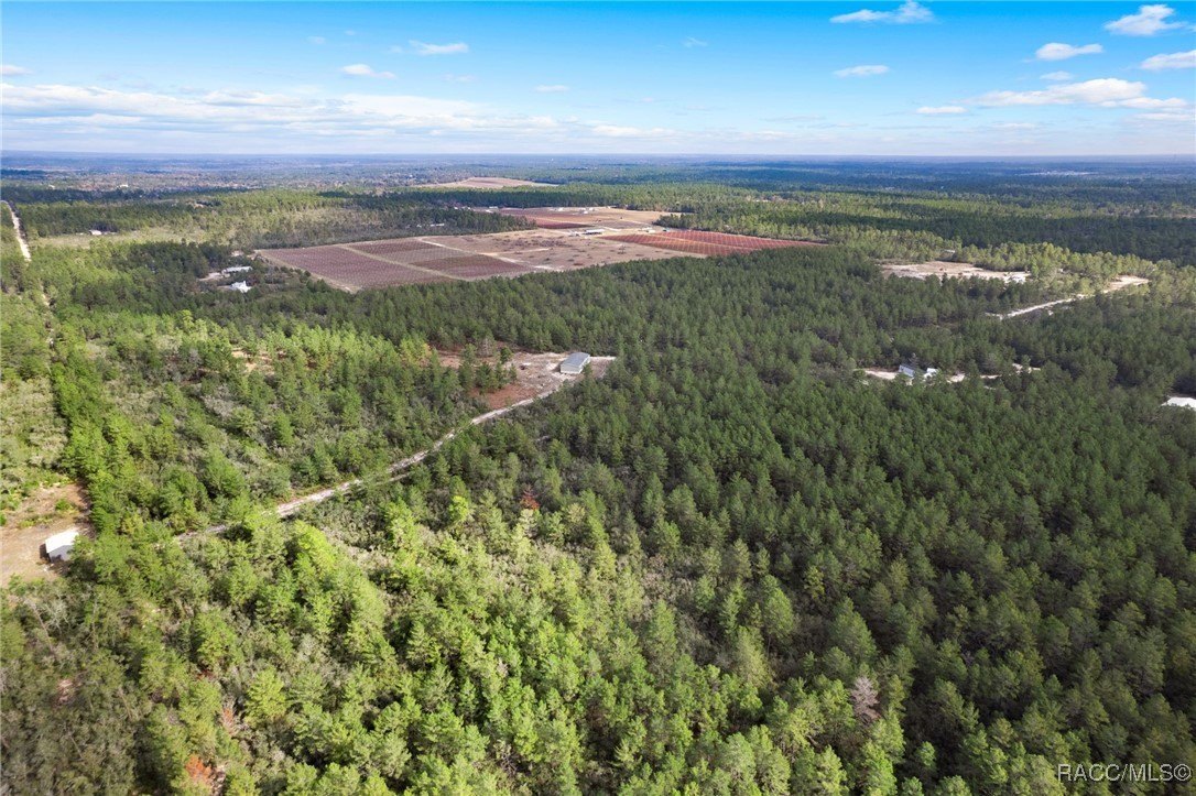 Dunnellon, Florida, 34433, United States, 4 Bedrooms Bedrooms, ,3 BathroomsBathrooms,Residential,For Sale,2008614