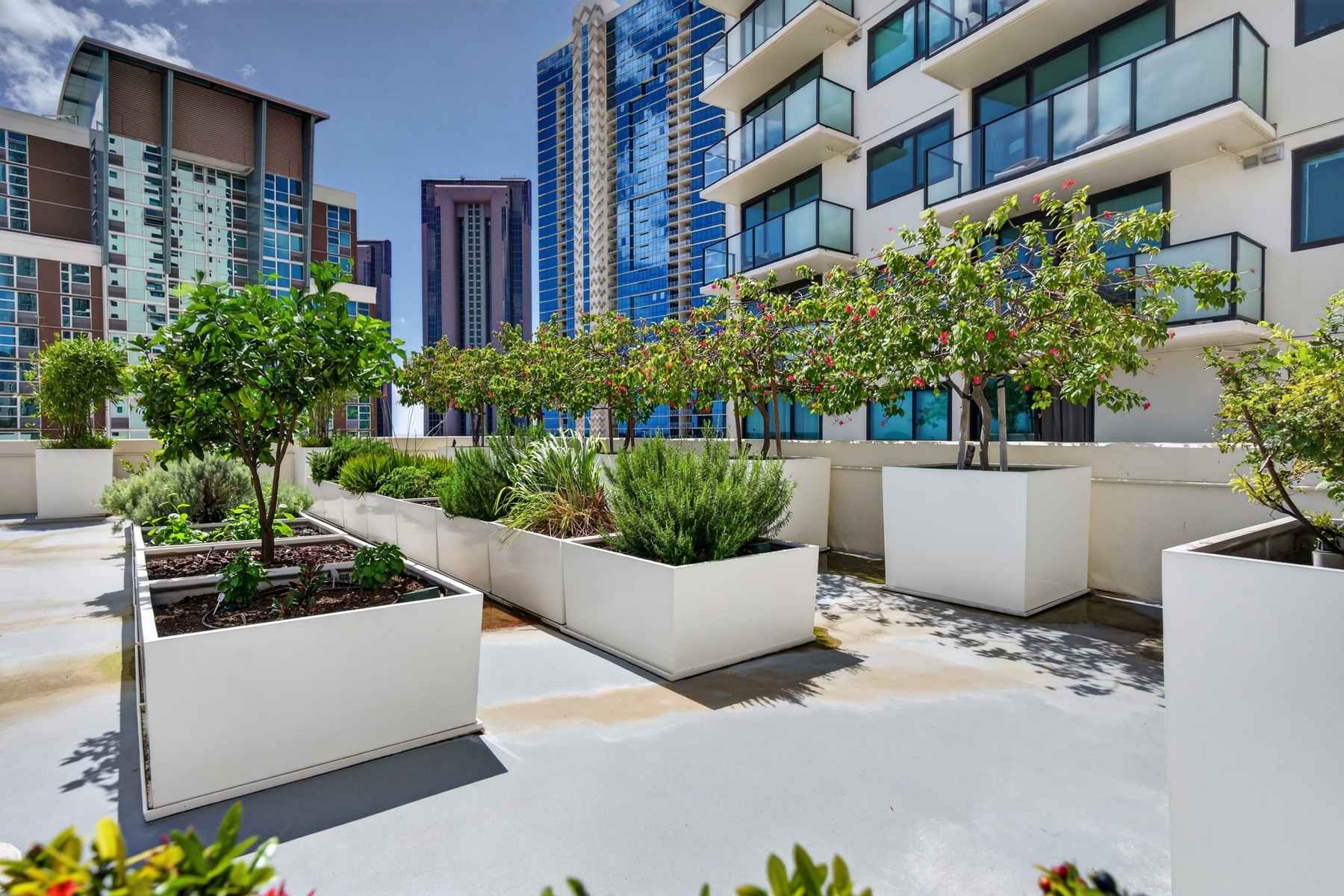  615 Keawe Street #2806 - 物件實景