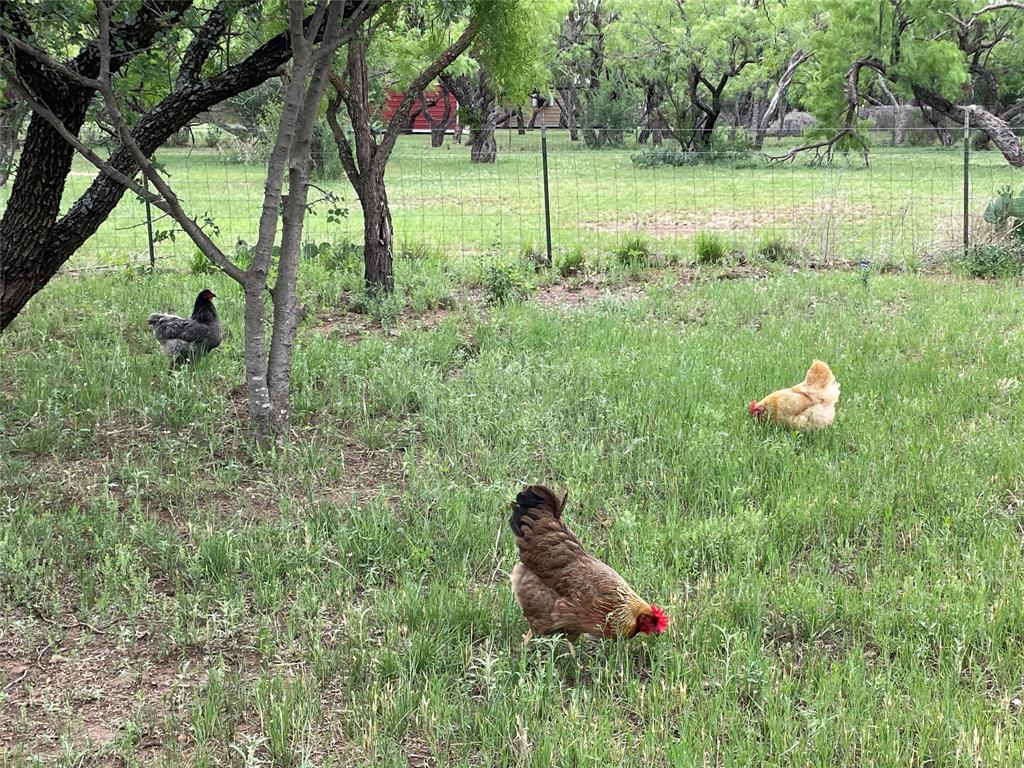 Abilene, Texas, 79606, United States, 3 Bedrooms Bedrooms, ,2 BathroomsBathrooms,Residential,For Sale,1988306