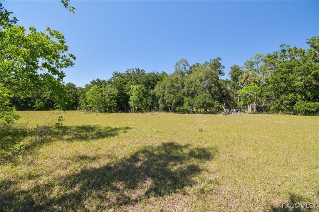 Brandon, Florida, 33511, United States, ,Land,For Sale,1981664