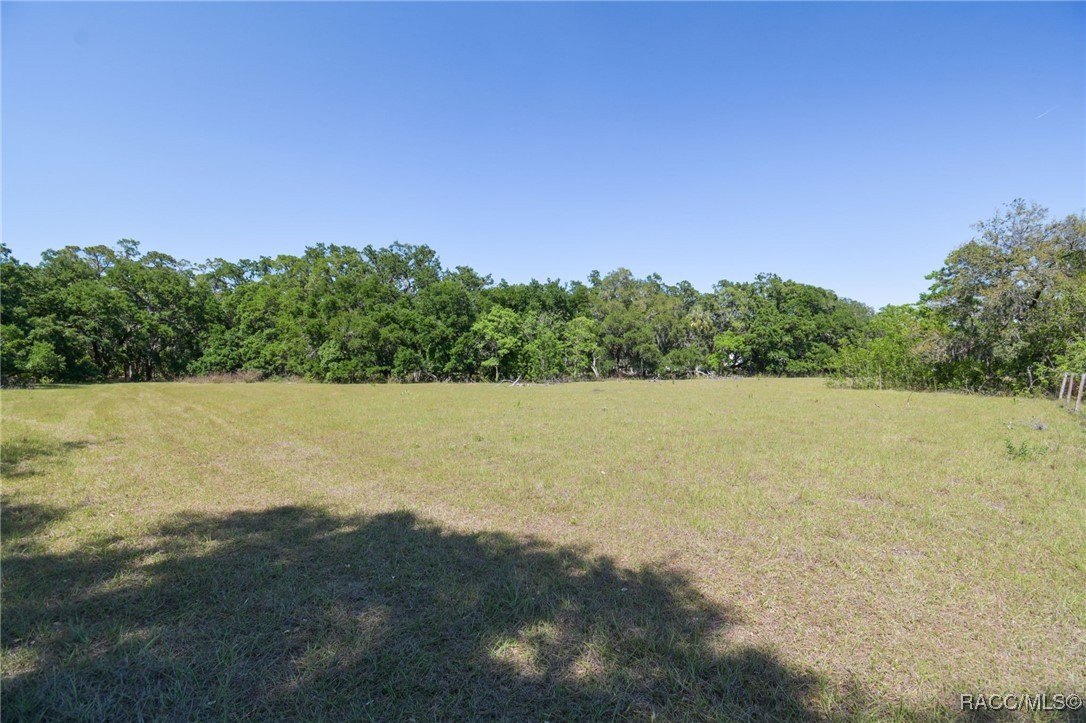 Brandon, Florida, 33511, United States, ,Land,For Sale,1981664