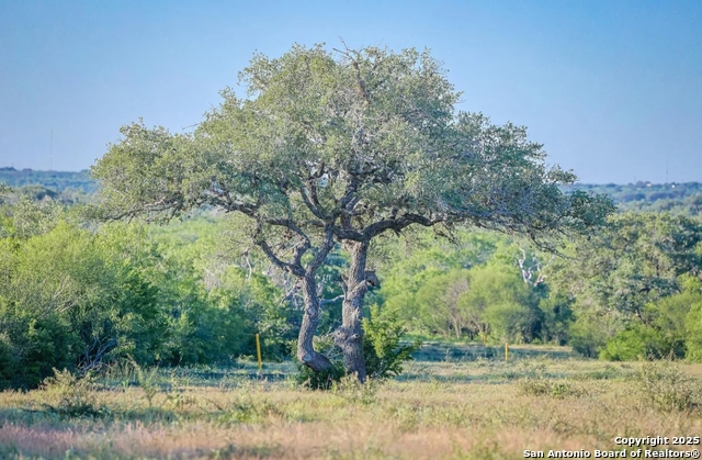 Beeville, Texas, 78102, United States, ,Land,For Sale,1988110