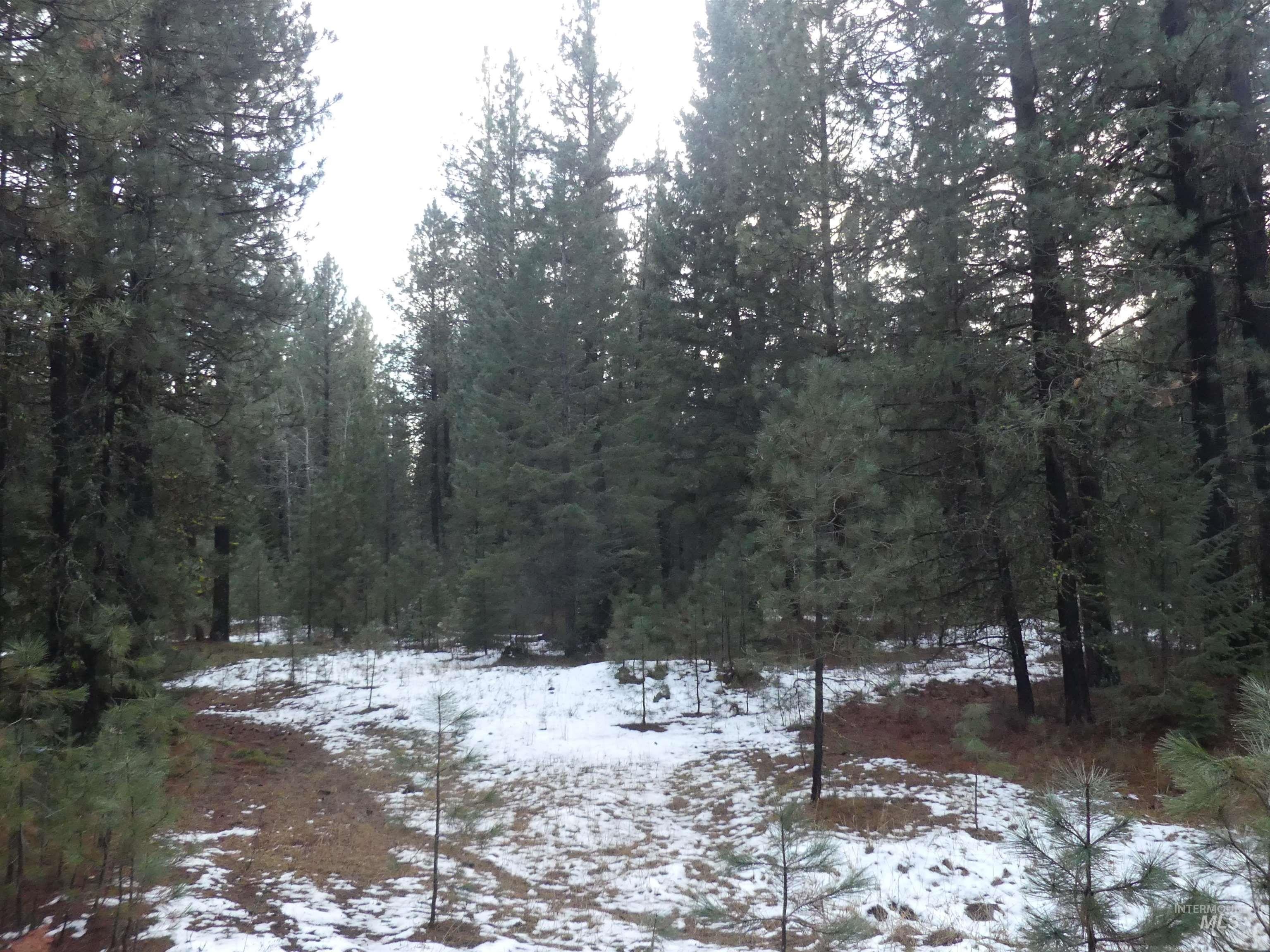 New Meadows, Idaho, 83654, United States, ,Land,For Sale,2006216