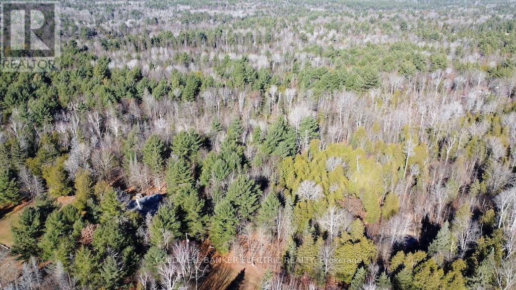 NORTH KAWARTHA, Ontario, K0L 1A0, CA, 3 Bedrooms Bedrooms, ,1 BathroomBathrooms,Residential,For Sale,1828258
