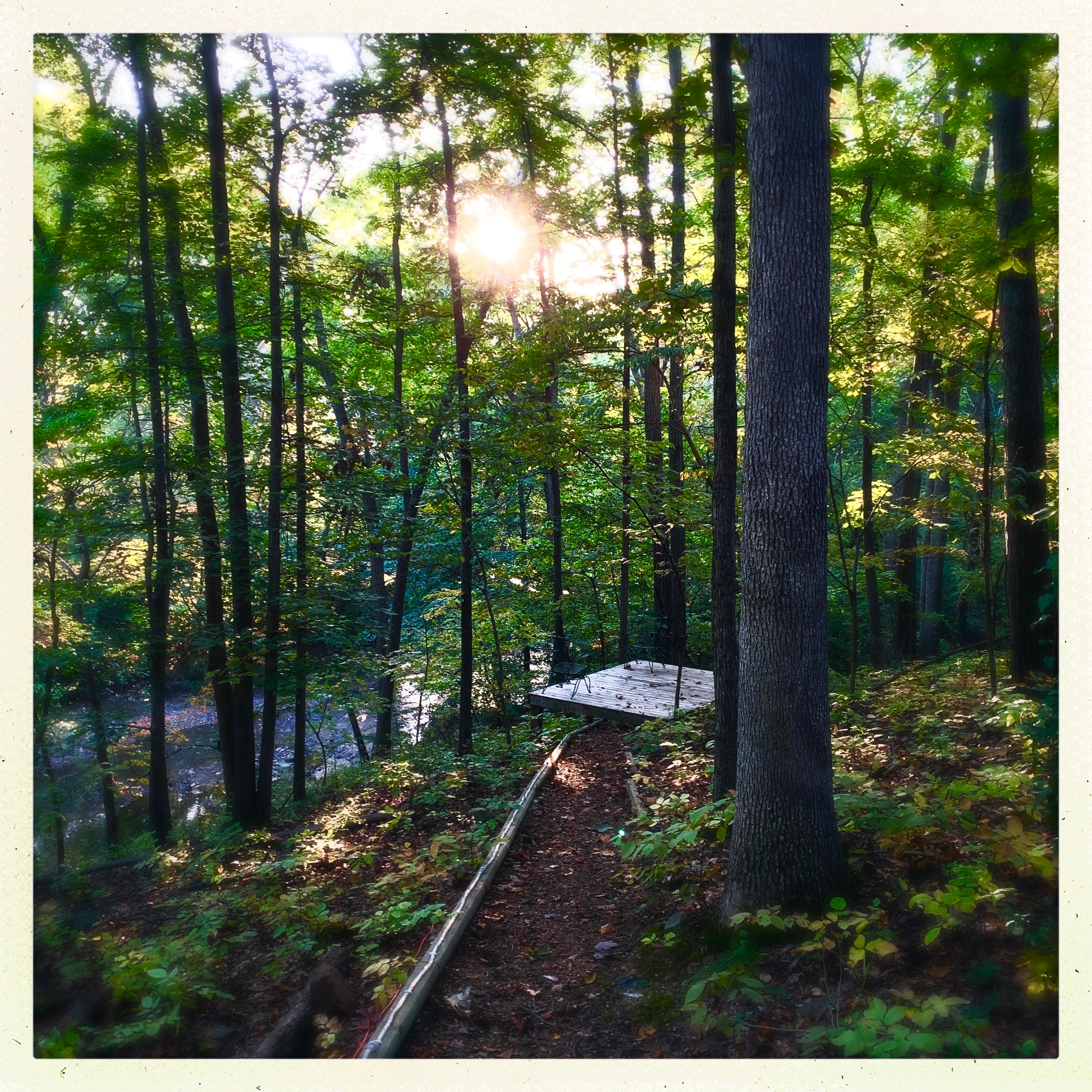  106 Calvary Court SE, Leesburg, VA, 20175 - 物件實景