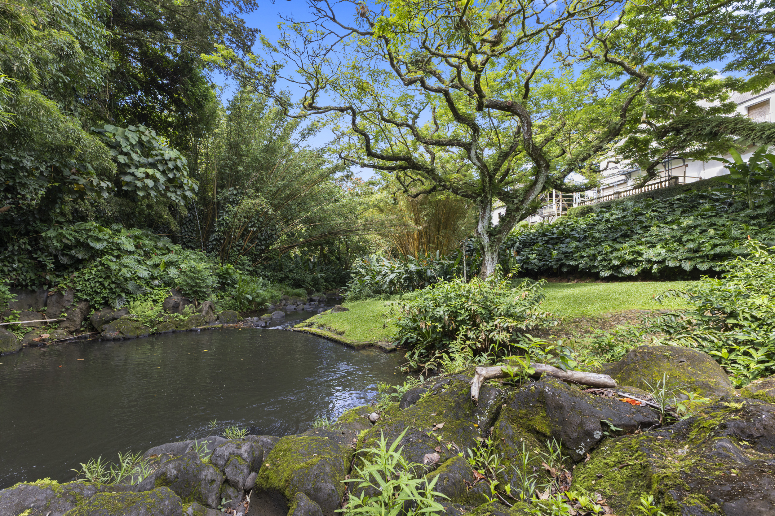 Dowsett Single Family Home, Garden, Sunrise, Sunset views 