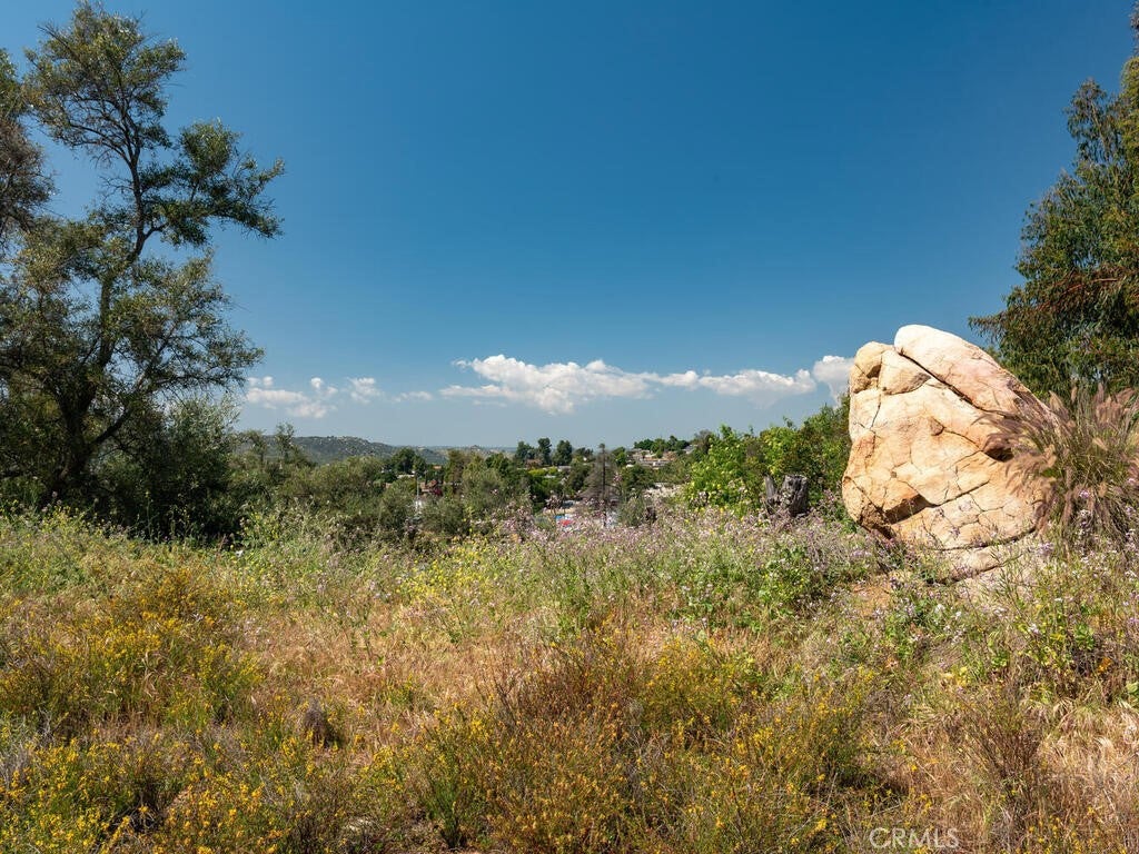 Fallbrook, California, 92028, United States, ,Land,For Sale,1805274
