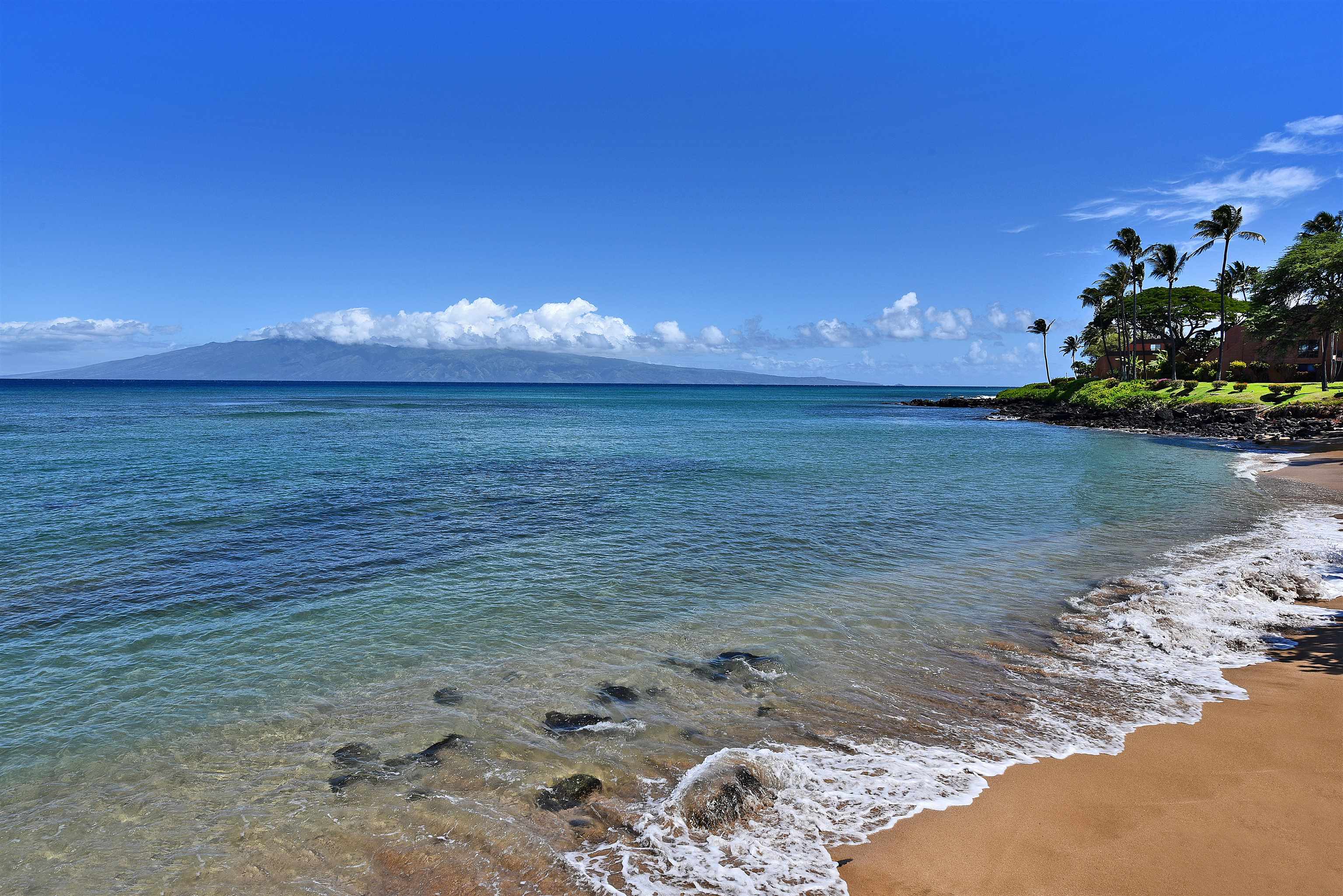 Lahaina, Hawaii, 96761, United States, 1 Bedroom Bedrooms, ,1 BathroomBathrooms,Residential,For Sale,1891036