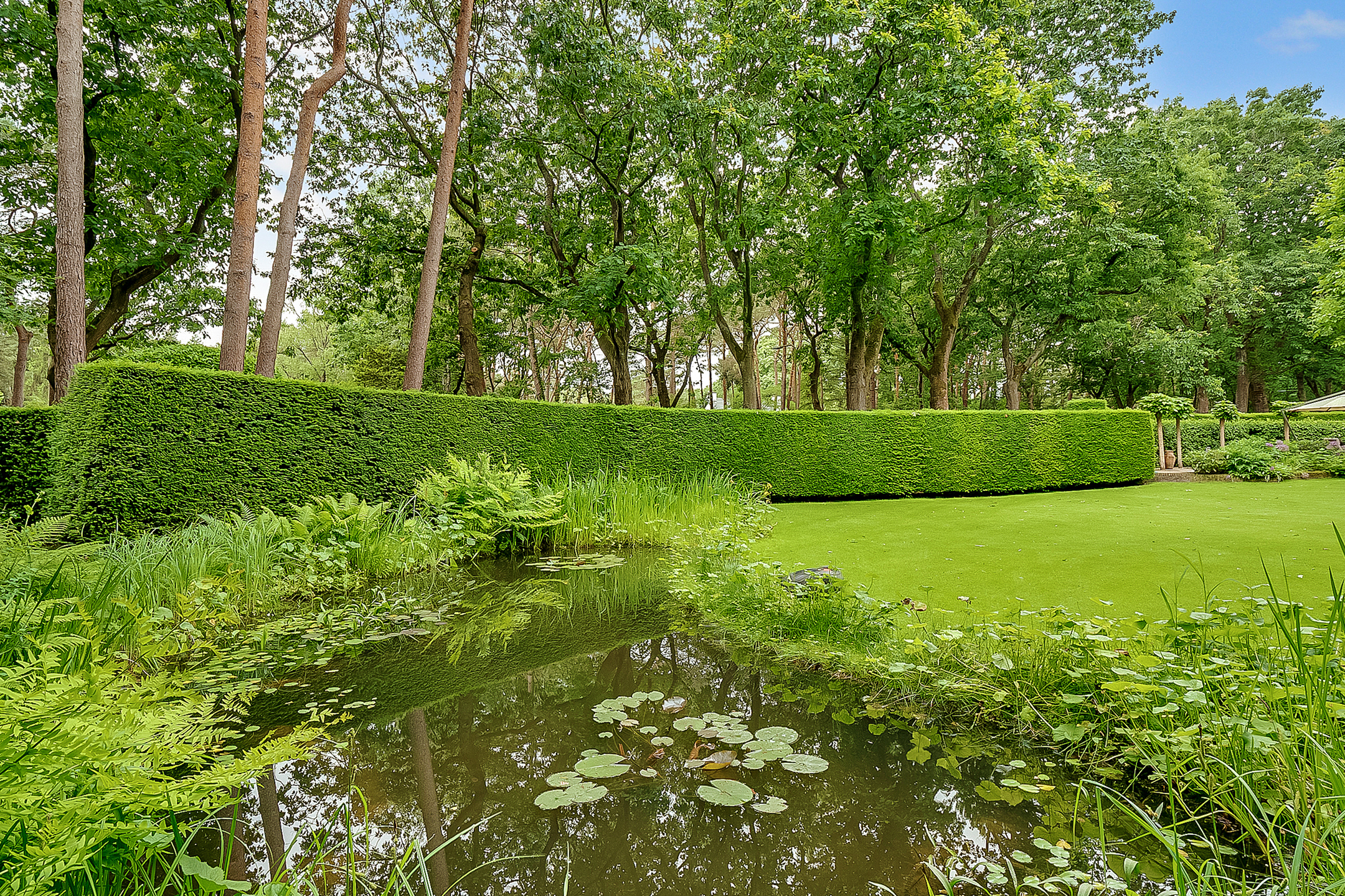  Villa Tolhuislaan - 物件實景