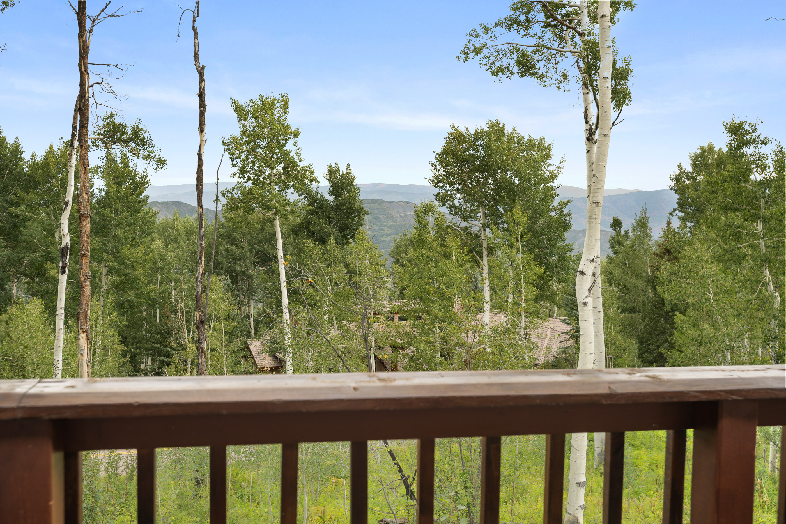  2055 Faraway Road, Snowmass Village, CO 81615 - 物件實景