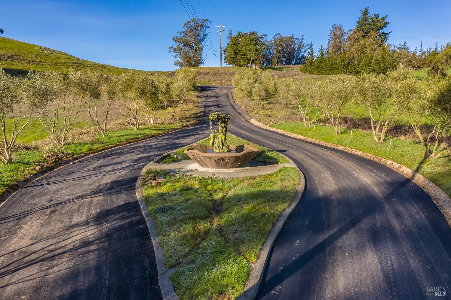 Penngrove, California, 94951, United States, ,Land,For Sale,1708043
